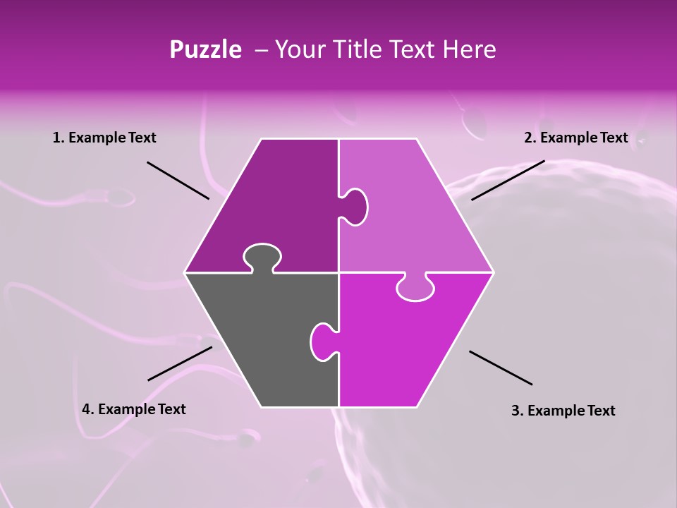 Illustration Of An Egg Cell And Sperm PowerPoint Template