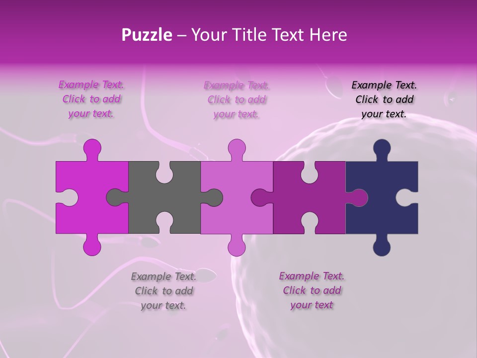 Illustration Of An Egg Cell And Sperm PowerPoint Template