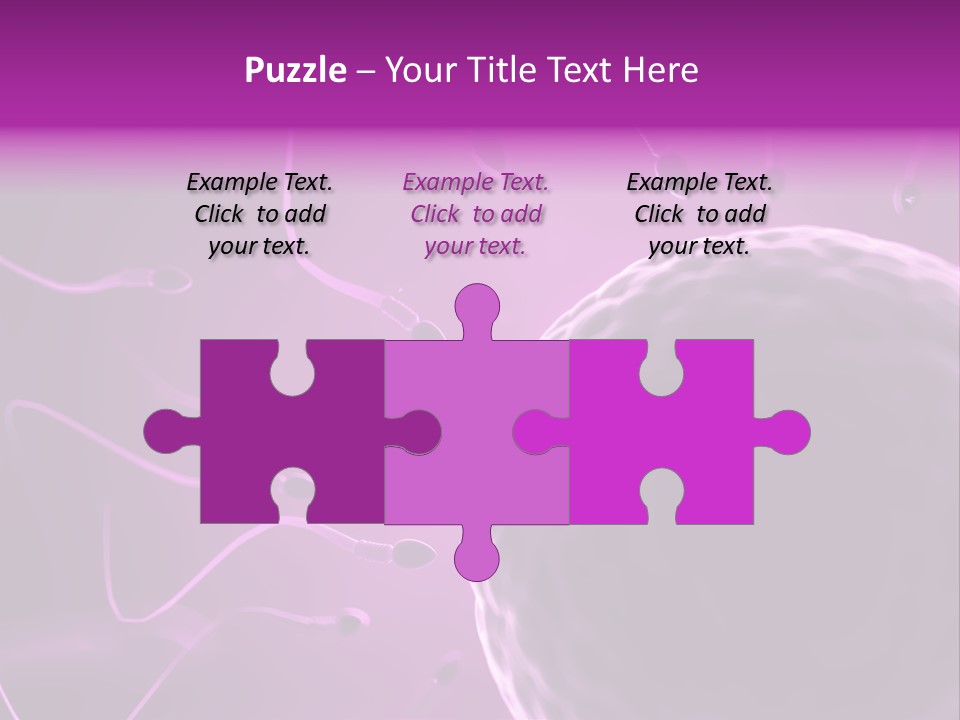 Illustration Of An Egg Cell And Sperm PowerPoint Template