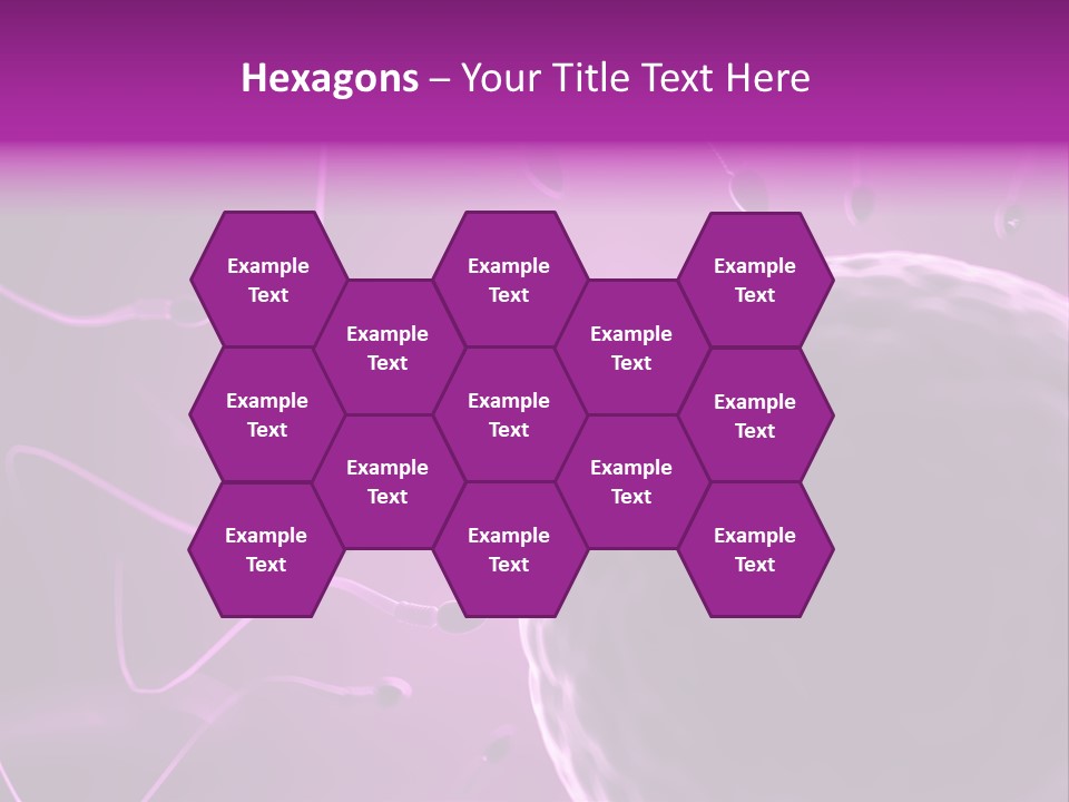Illustration Of An Egg Cell And Sperm PowerPoint Template