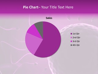 Illustration Of An Egg Cell And Sperm PowerPoint Template