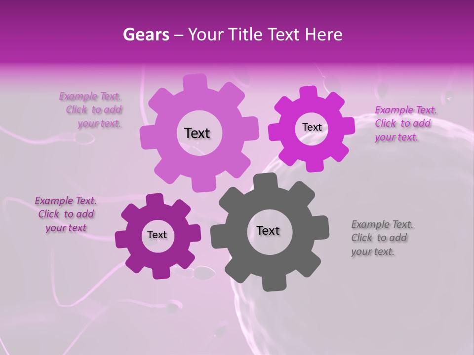 Illustration Of An Egg Cell And Sperm PowerPoint Template
