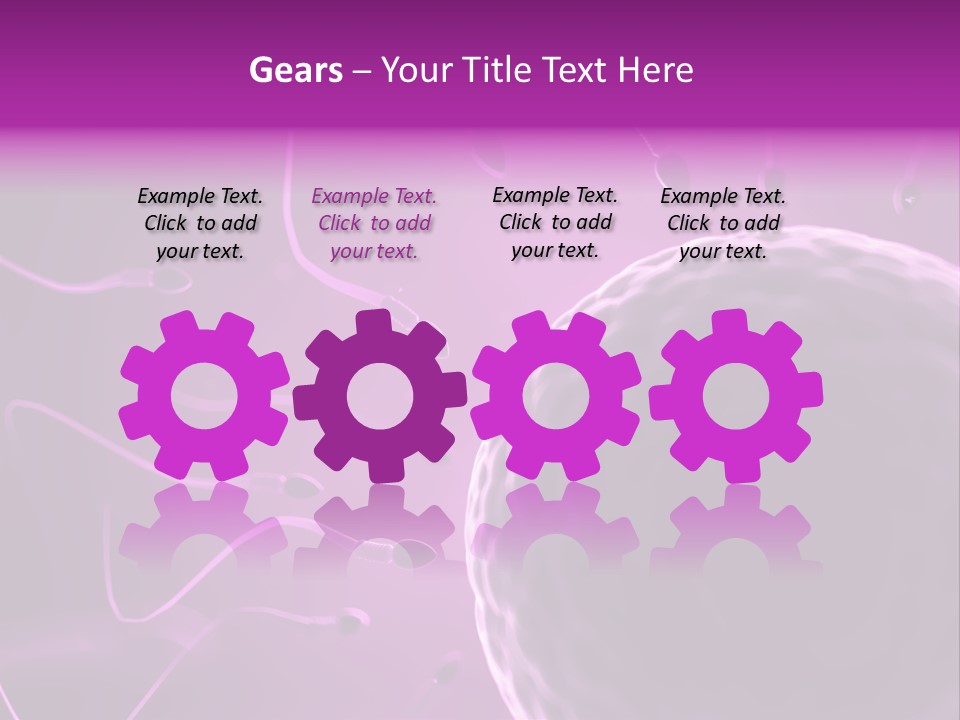 Illustration Of An Egg Cell And Sperm PowerPoint Template
