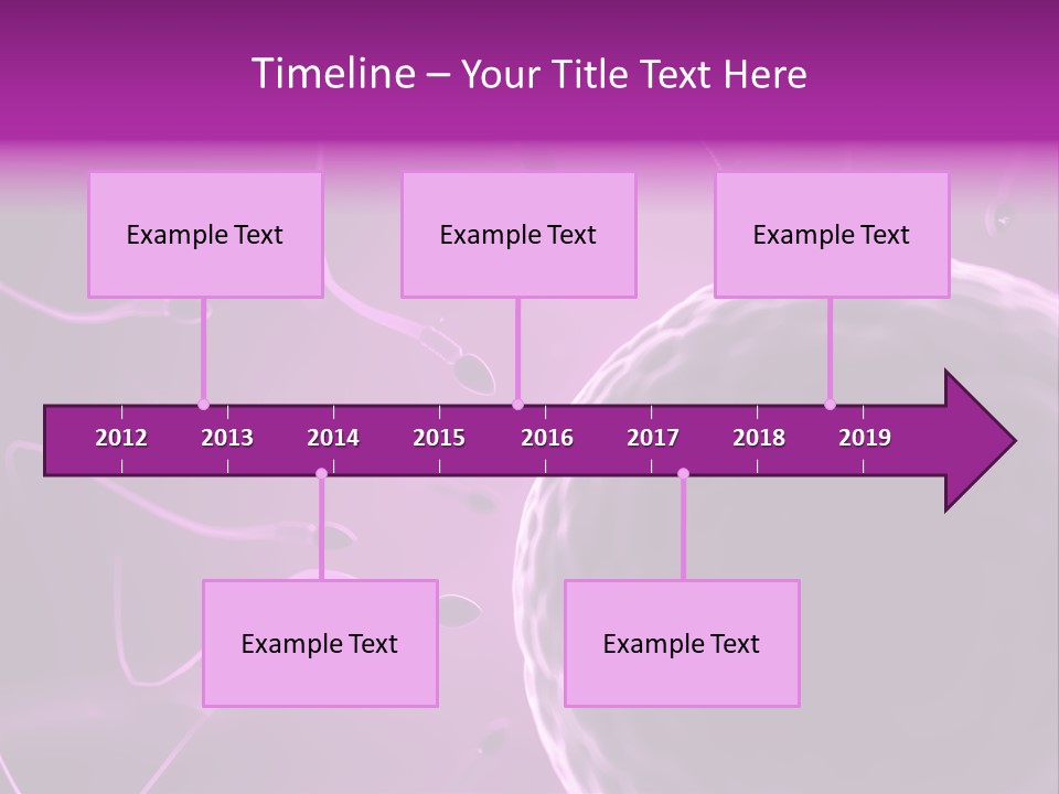 Illustration Of An Egg Cell And Sperm PowerPoint Template