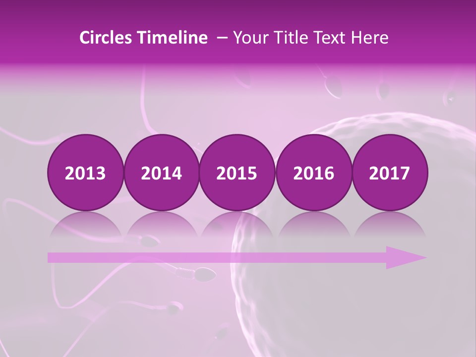 Illustration Of An Egg Cell And Sperm PowerPoint Template