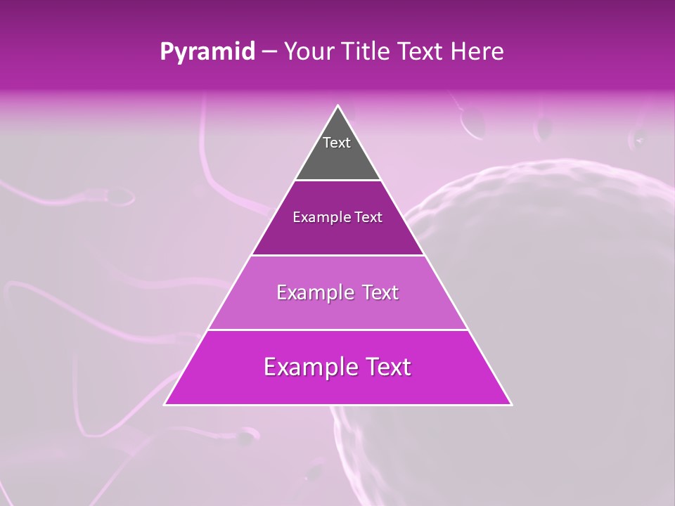 Illustration Of An Egg Cell And Sperm PowerPoint Template