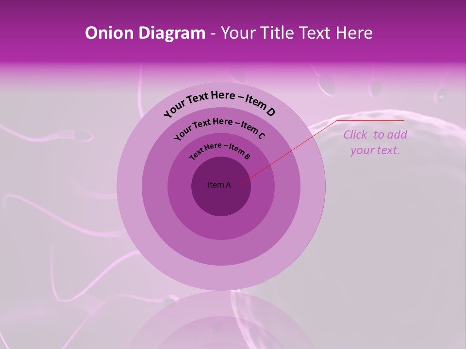 Illustration Of An Egg Cell And Sperm PowerPoint Template