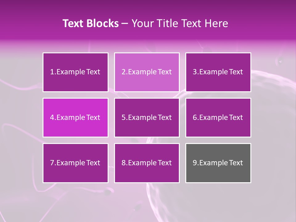 Illustration Of An Egg Cell And Sperm PowerPoint Template