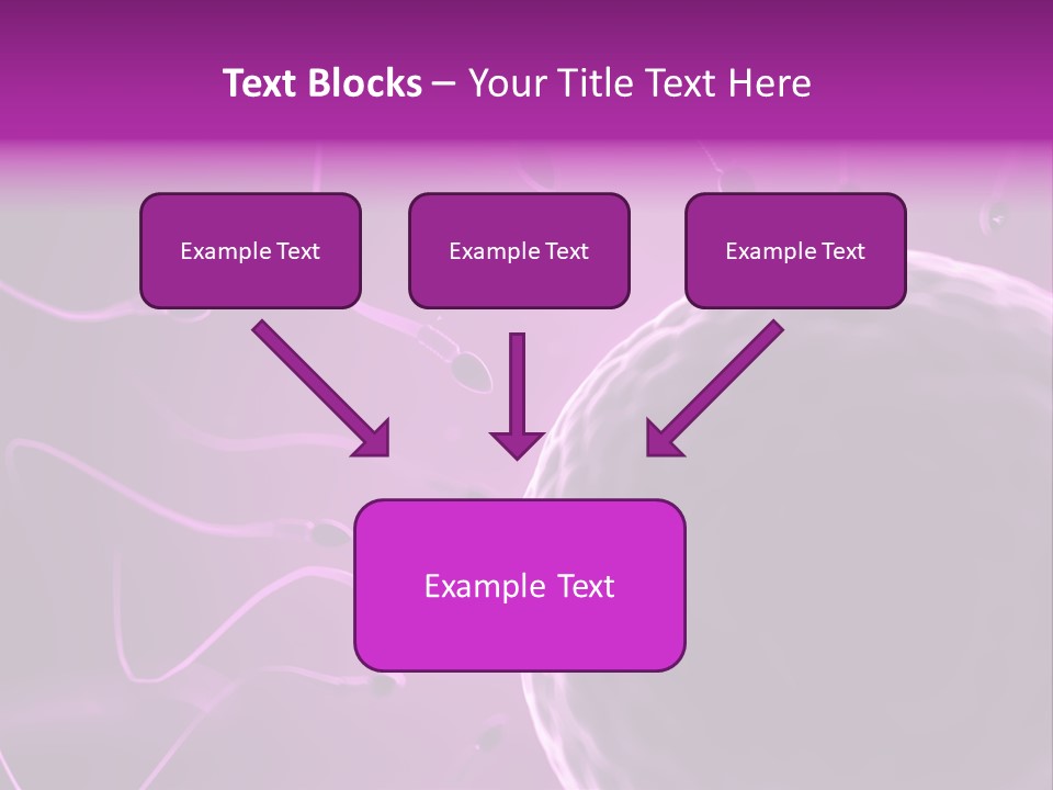 Illustration Of An Egg Cell And Sperm PowerPoint Template