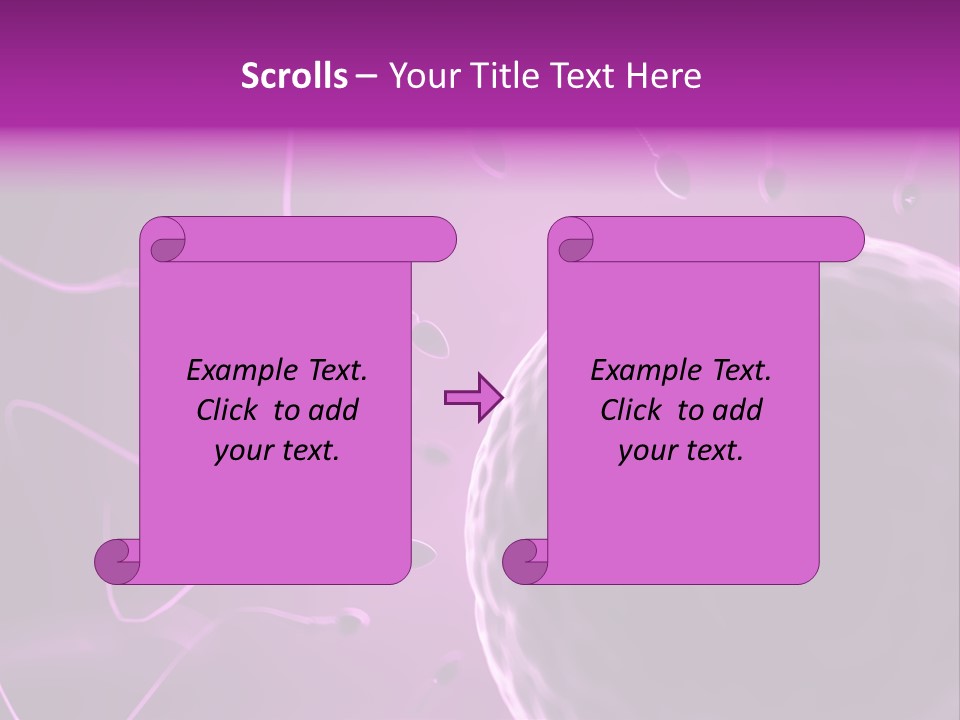 Illustration Of An Egg Cell And Sperm PowerPoint Template