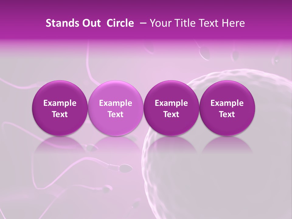 Illustration Of An Egg Cell And Sperm PowerPoint Template