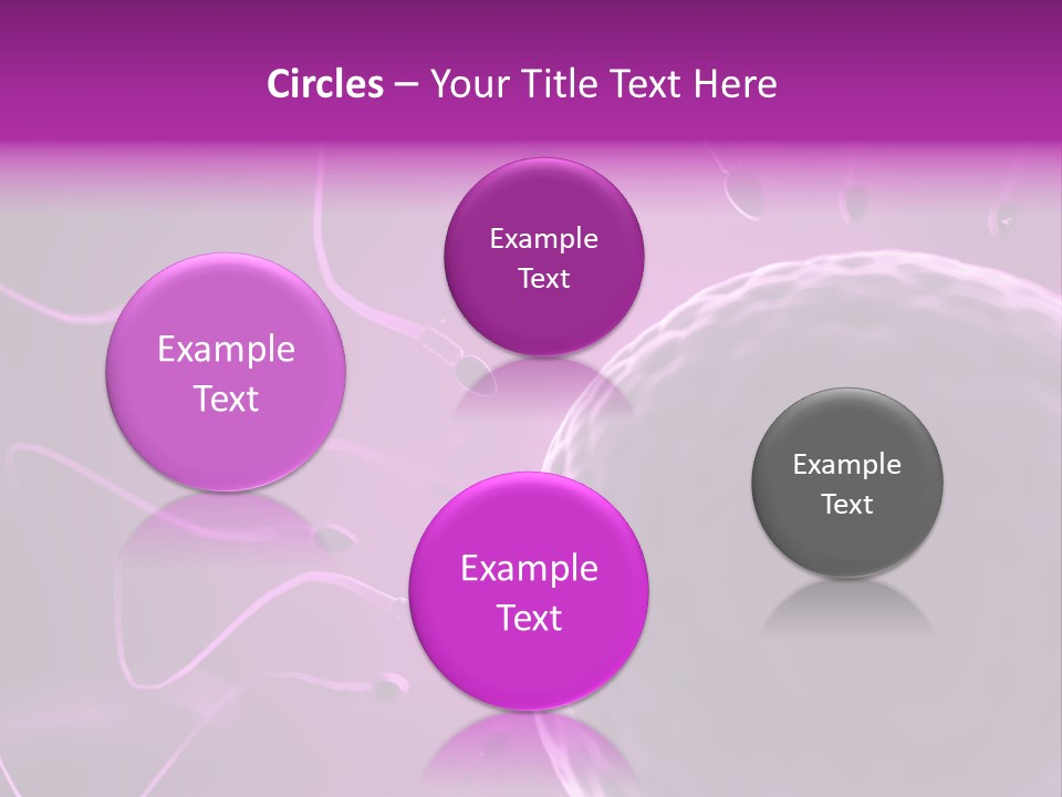 Illustration Of An Egg Cell And Sperm PowerPoint Template