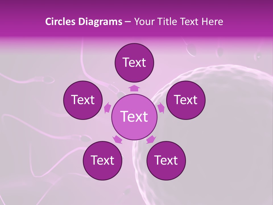 Illustration Of An Egg Cell And Sperm PowerPoint Template