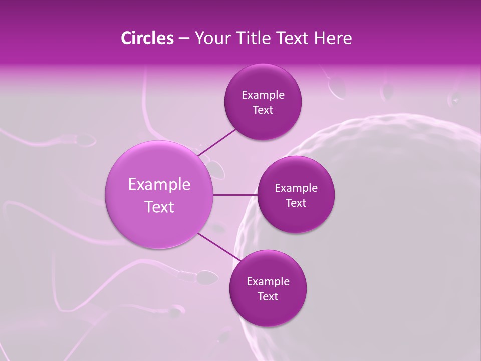 Illustration Of An Egg Cell And Sperm PowerPoint Template