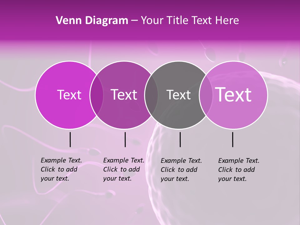 Illustration Of An Egg Cell And Sperm PowerPoint Template