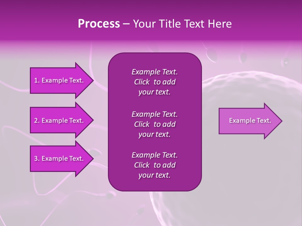 Illustration Of An Egg Cell And Sperm PowerPoint Template
