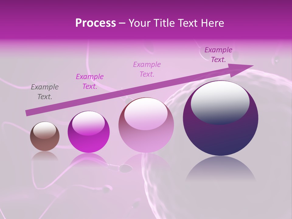 Illustration Of An Egg Cell And Sperm PowerPoint Template