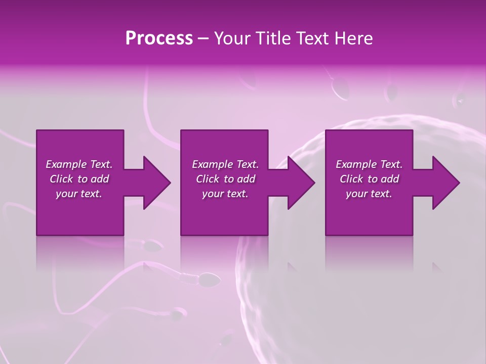 Illustration Of An Egg Cell And Sperm PowerPoint Template