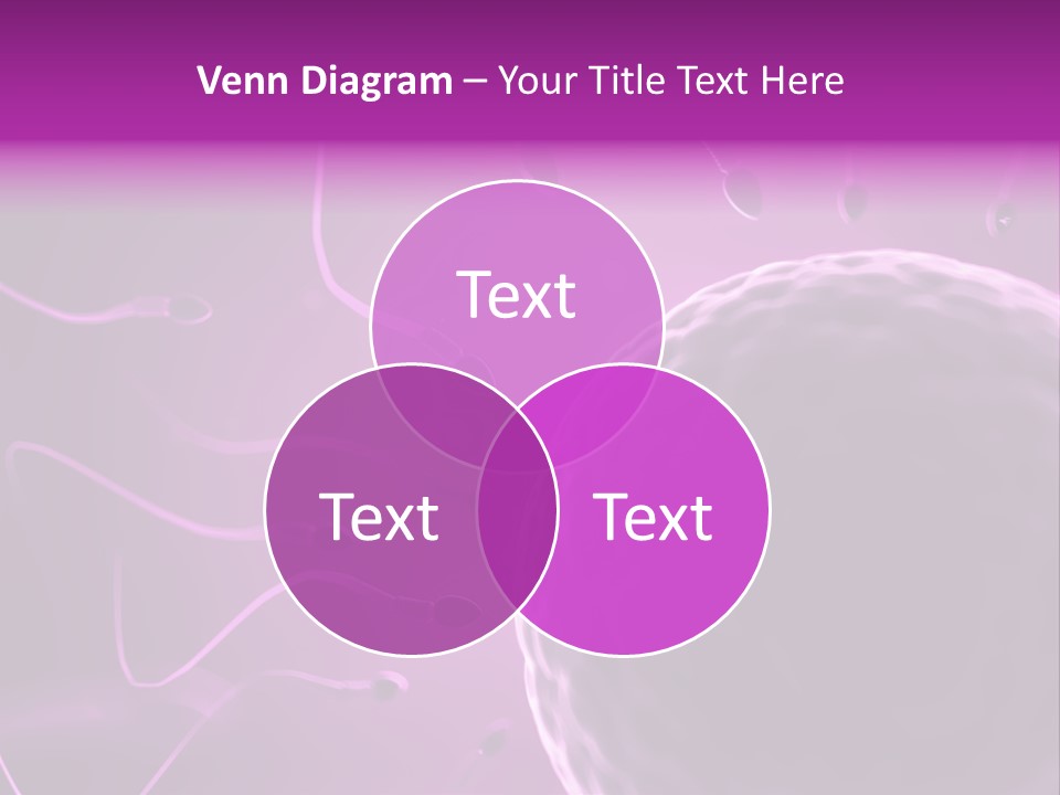 Illustration Of An Egg Cell And Sperm PowerPoint Template