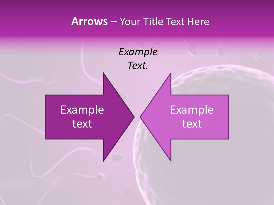 Illustration Of An Egg Cell And Sperm PowerPoint Template