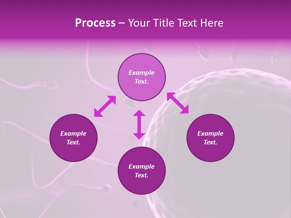 Illustration Of An Egg Cell And Sperm PowerPoint Template