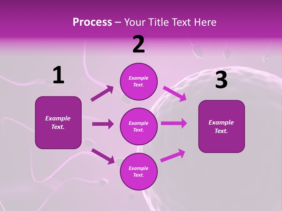 Illustration Of An Egg Cell And Sperm PowerPoint Template