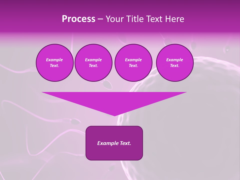 Illustration Of An Egg Cell And Sperm PowerPoint Template
