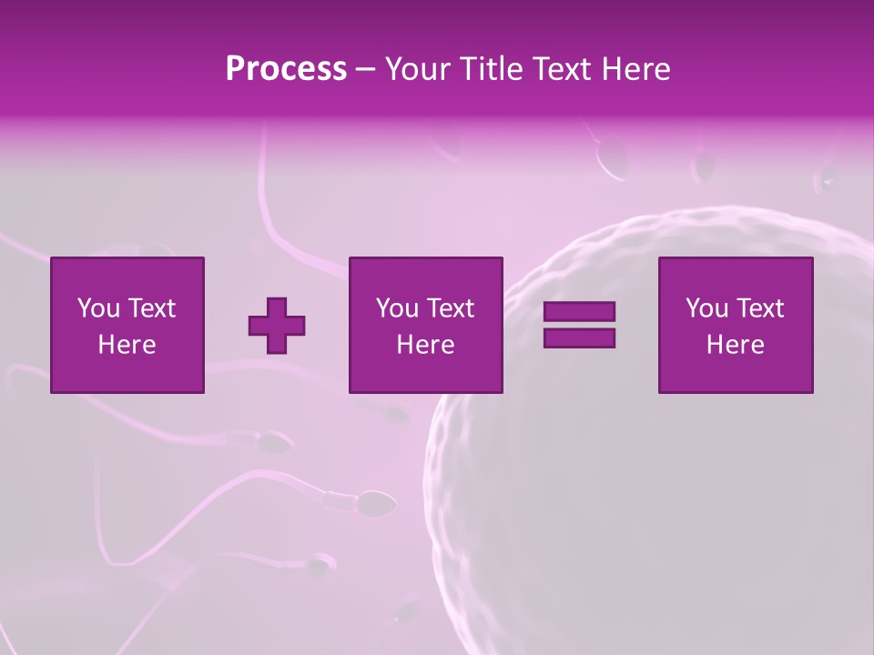 Illustration Of An Egg Cell And Sperm PowerPoint Template