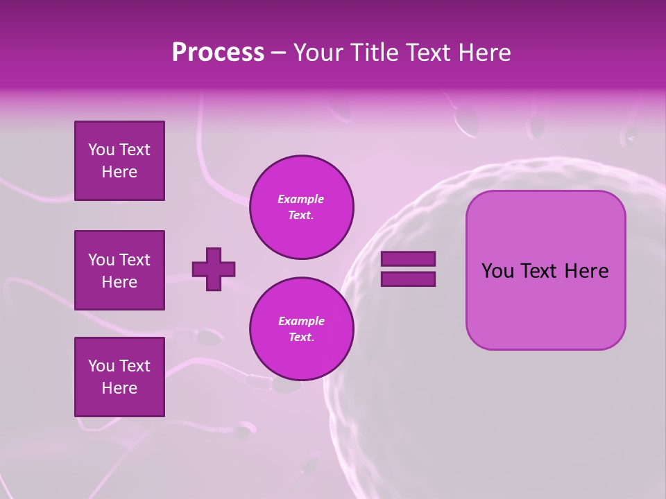 Illustration Of An Egg Cell And Sperm PowerPoint Template
