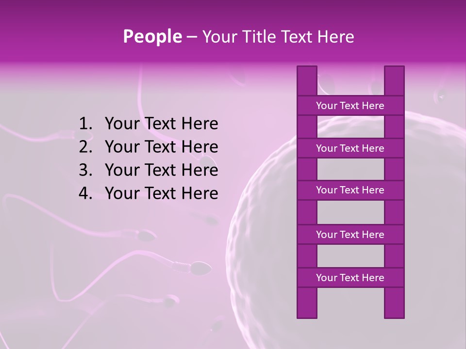 Illustration Of An Egg Cell And Sperm PowerPoint Template