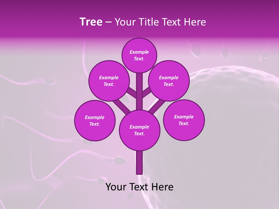 Illustration Of An Egg Cell And Sperm PowerPoint Template