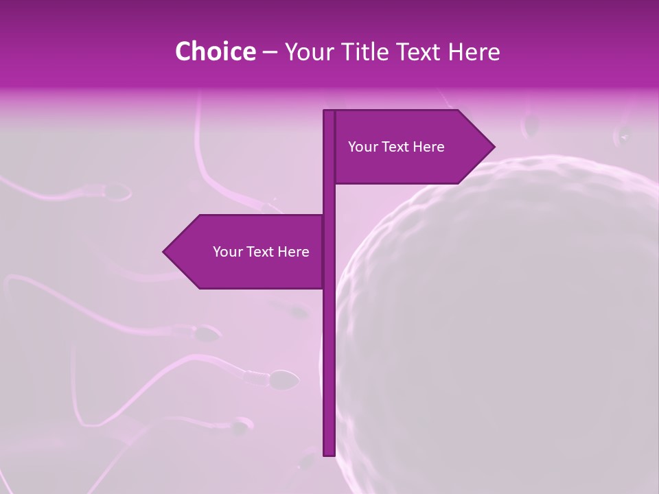 Illustration Of An Egg Cell And Sperm PowerPoint Template
