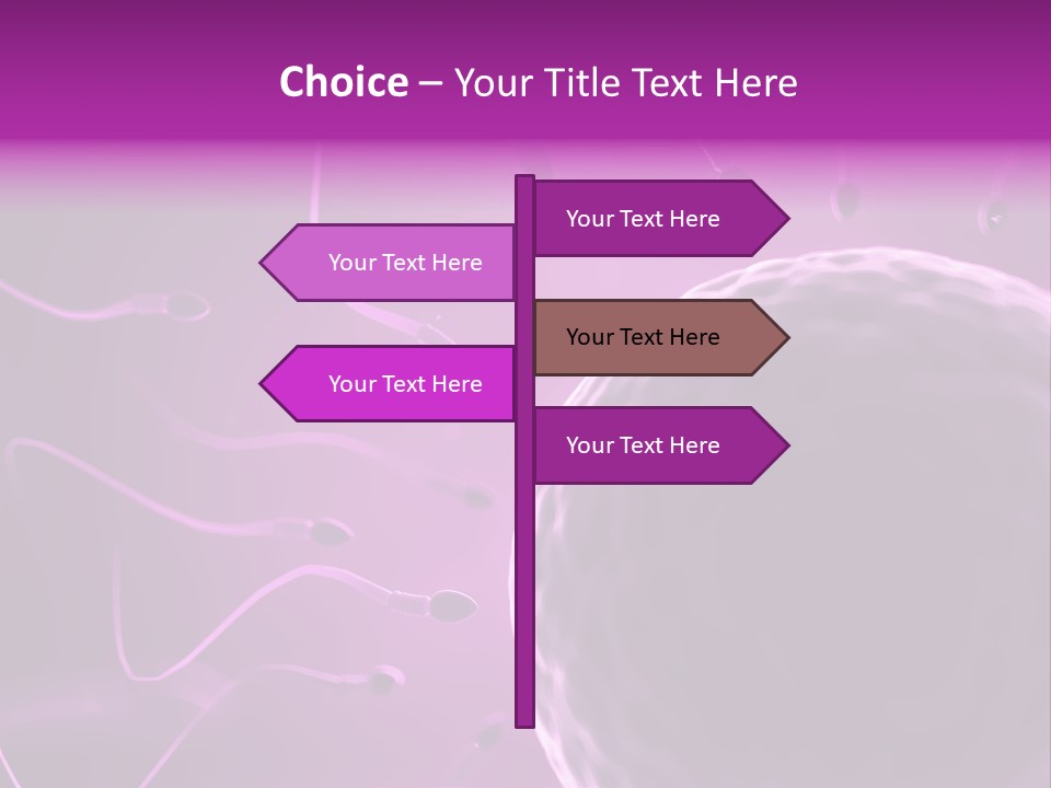Illustration Of An Egg Cell And Sperm PowerPoint Template