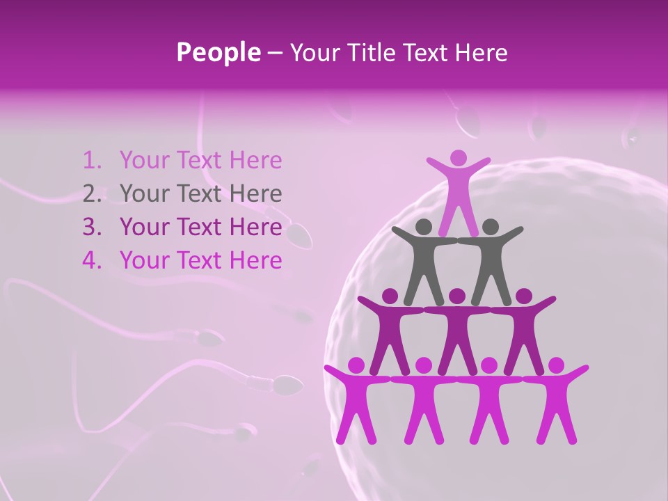 Illustration Of An Egg Cell And Sperm PowerPoint Template