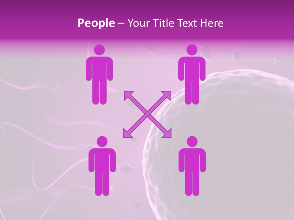 Illustration Of An Egg Cell And Sperm PowerPoint Template