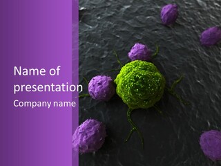 Illustration Of Leukocytes Attacking A Cancer Cell PowerPoint Template