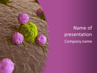 Illustration Of Leukocytes Attacking A Cancer Cell PowerPoint Template