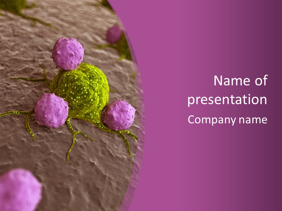 Illustration Of Leukocytes Attacking A Cancer Cell PowerPoint Template