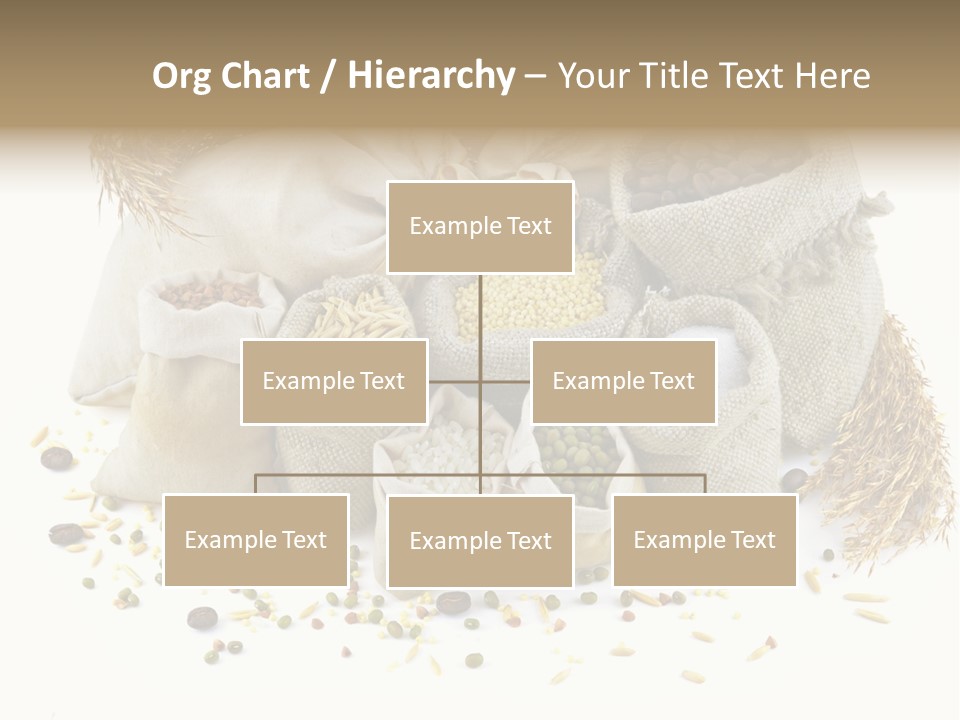 Bags With Cereals And Herbs PowerPoint Template