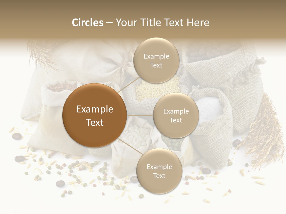 Bags With Cereals And Herbs PowerPoint Template