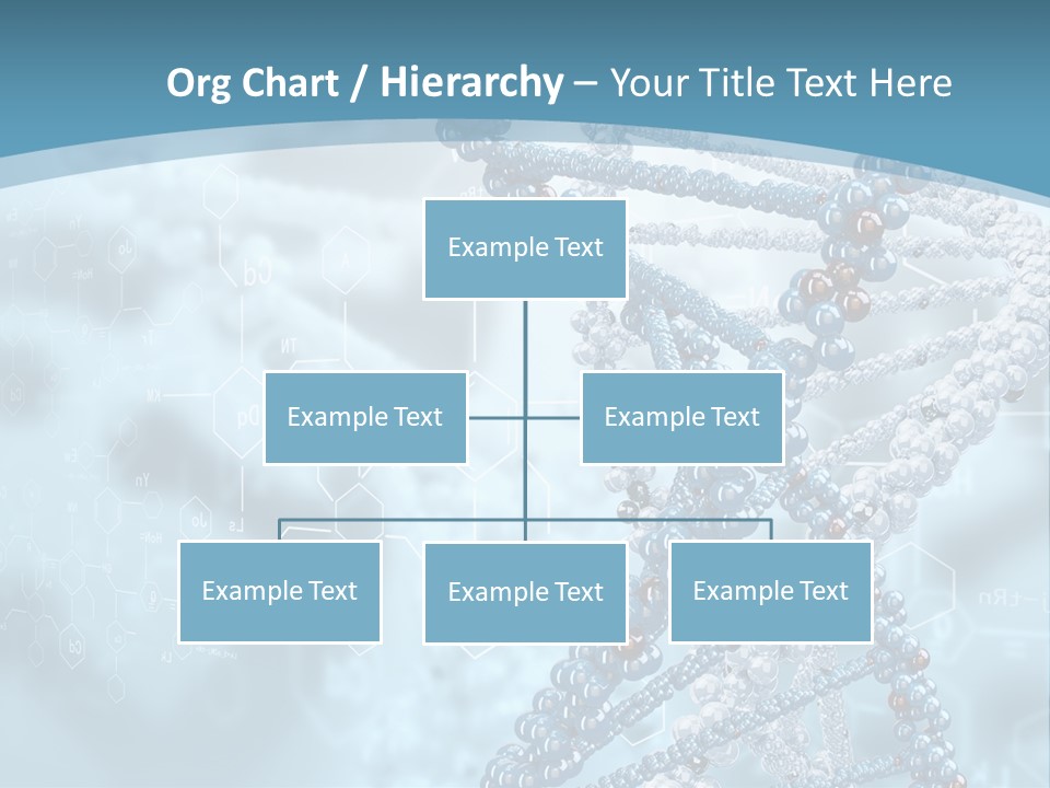 Pattern Strand Evolution PowerPoint Template