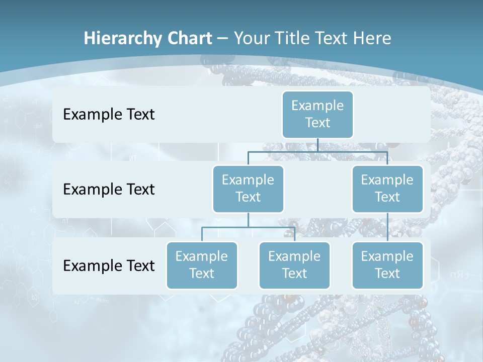 Pattern Strand Evolution PowerPoint Template