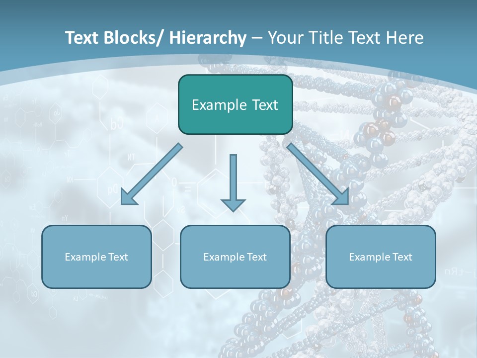 Pattern Strand Evolution PowerPoint Template