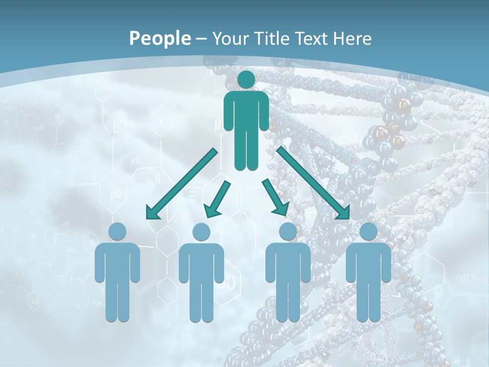 Pattern Strand Evolution PowerPoint Template