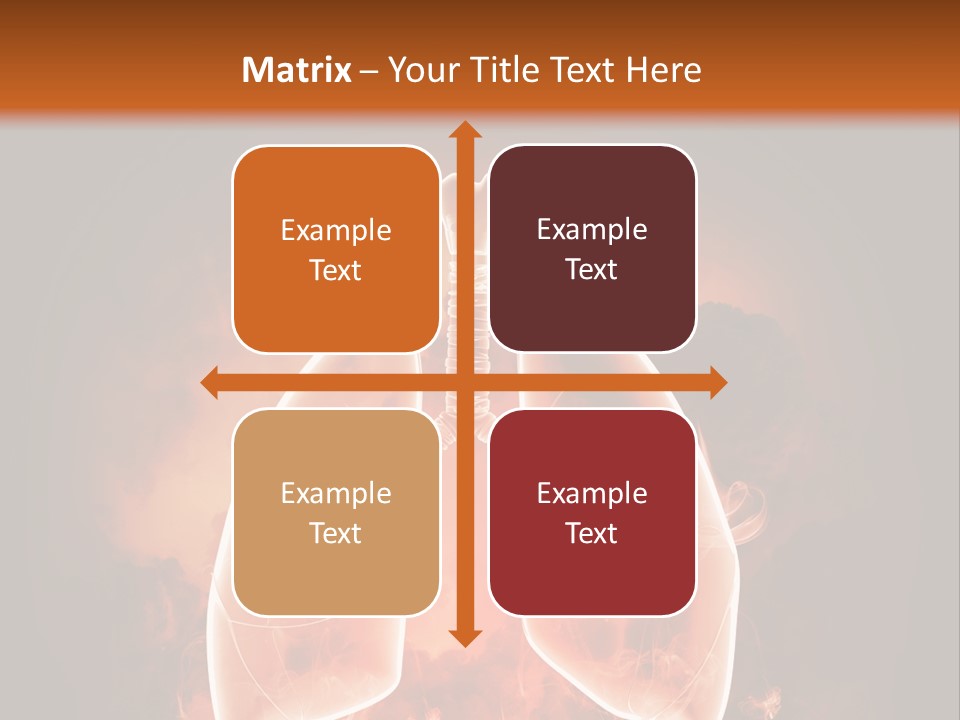 Biological Male Health PowerPoint Template