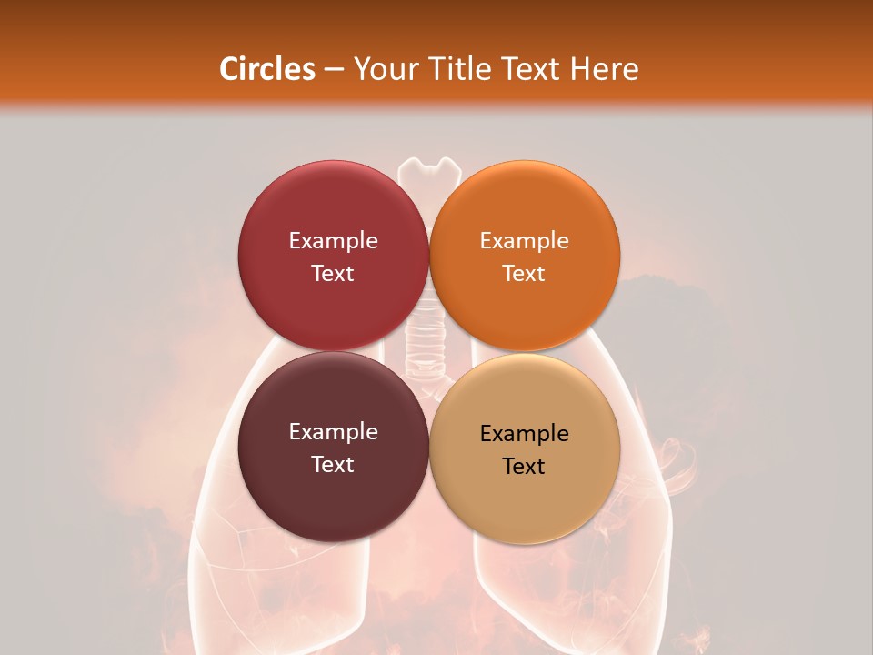 Biological Male Health PowerPoint Template