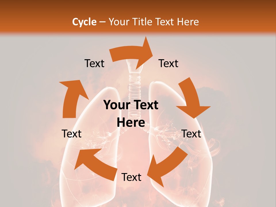 Biological Male Health PowerPoint Template