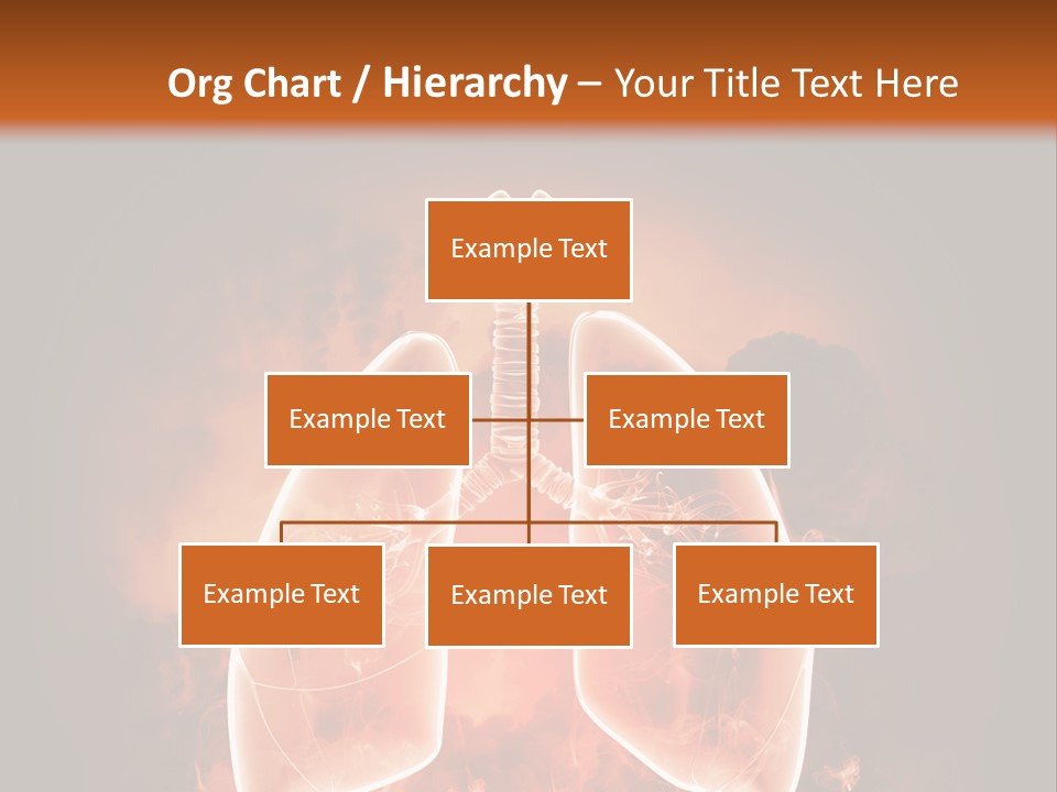 Biological Male Health PowerPoint Template
