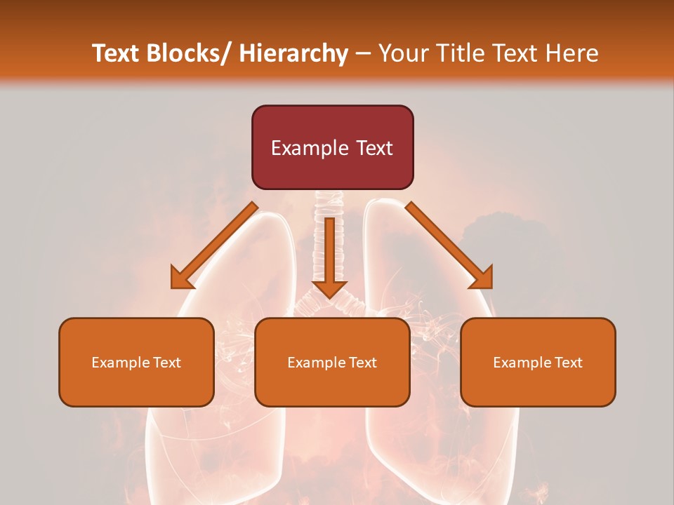 Biological Male Health PowerPoint Template