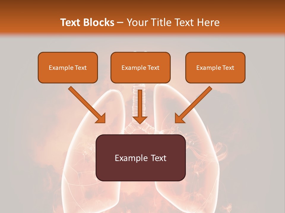 Biological Male Health PowerPoint Template
